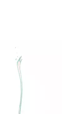 Hooker Ch.1-37 (English) (Ongoing)