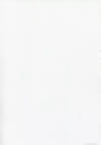 (C86) [Type-G, Studio Himawari (Himukai Kyousuke, Ishigaki Takashi)] UNISON [Lyrical ☆ Nanoha Goudoushi] (Mahou Shoujo Lyrical Nanoha)