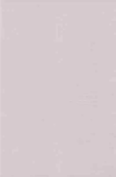 Toukai Chiiki Genteiteki Ramen-ya Kanban Musume Soushuuhen