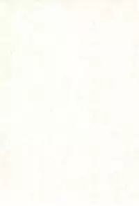 (C75) [Status Doku (Isawa Nohri)] Orange Album (Ojamajo Doremi)