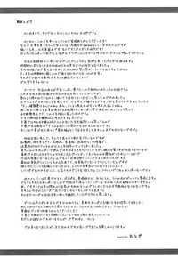 (C79) [Miwaku-iro Missile (Otogi)] Touhou Paizuri Shijuuhatte Jou | Touhou Paizuri 48 Techniques, Part 1 (Touhou Project) [English] [desudesu]