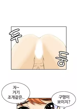 Chauffeur Service Ch.1-30.5