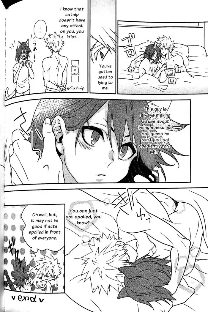 Segregated Euphoria- Boku no Hero Academia dj