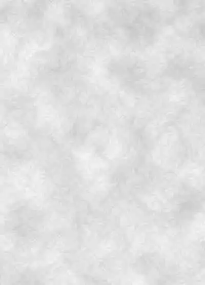 (C91) [寺岡デジタルワークス (遠藤辰己)] 狂気!人喰いウサギ (東方Project)[中国翻译]