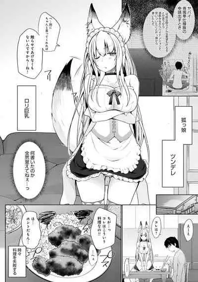 Houshi Shuzoku ga Yattekita!