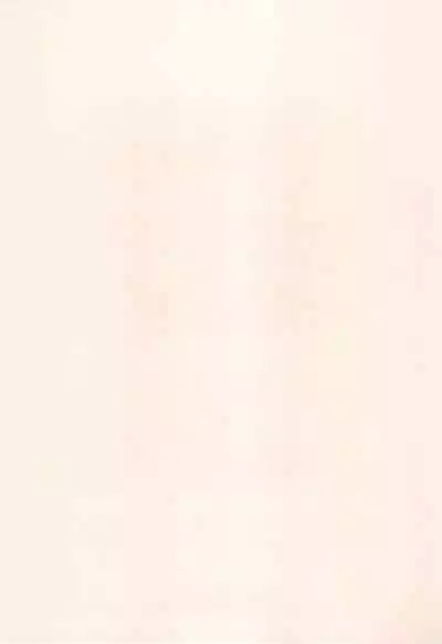 (COMITIA46) [Puorg Etwas (Rittou Teshio)] ashamed devil