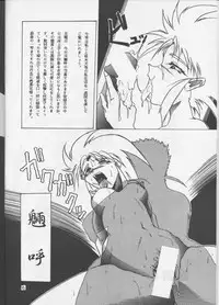 (CR18) [Tail of Nearly (Wakabayashi)] Shadow=Defence (Various)