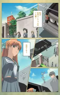 [Panda House] [Full Color Seijin Han] Shintaisou (Shin) etude.1 Complete Ban [Digital]