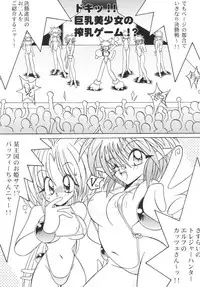 (C61) [Akuma no Ehon Hakushu Dan (Uo)] Can2GIRL 2 (Lord of Lords Ryu Knight)