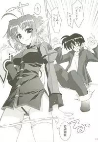 (C73) [PLUM (Kanna)] Mahou Shoujo Magical SEED Soushuuhen X (Mahou Shoujo Lyrical Nanoha)