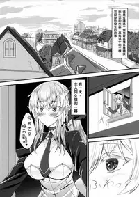 (C91) [Soronosanchi (sorono)] Suki Suki Goshujin-sama -Maid Elf-san ni Osowaretai- [Chinese] [布魯斯個人漢化]