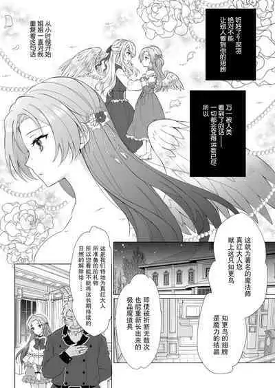 hen'yoku no shōjo wa shokushu ni maryoku o suwa re chaimasu |独翼少女被触手吸取着魔力