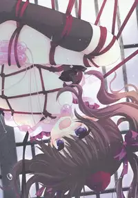 (SC48) [CHRONOLOG, D.N.A.Lab. (Sakurazawa Izumi, Miyasu Risa)] HIDOIME (Touhou Project)