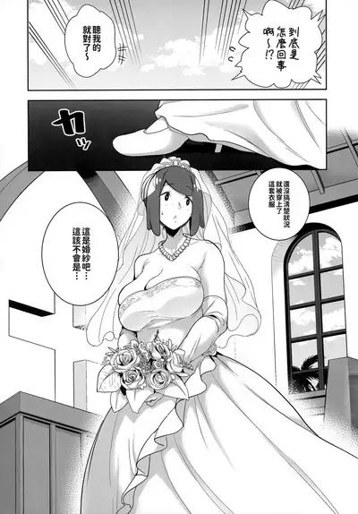 Alola no Yoru no Sugata Soushuuhen | 阿羅拉夜晚的樣子總集篇