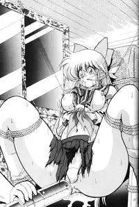 [Thirty Saver Street & Studio Z-Agnam] 2D Shooting (Sailor Moon) [English]