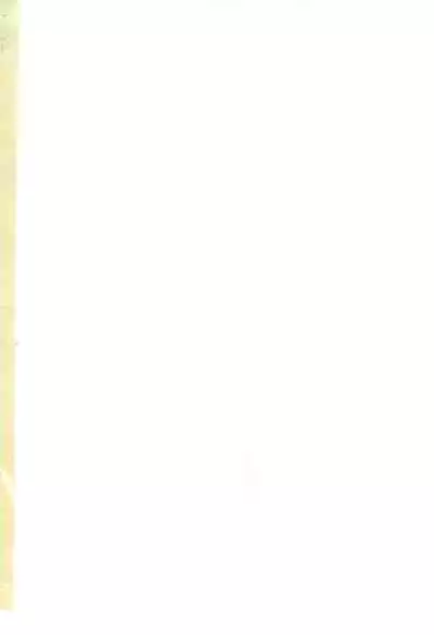 (Puniket 10) [COUNTERPARTS (Gabagobogebe)] Delicate Sound of Thunder (Digimon Adventure)