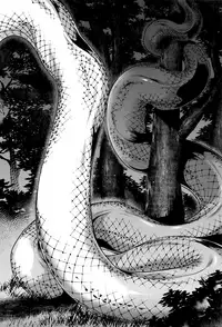 [Jyoka] Hachishaku Hachiwa Keraku Meguri - Igyou Kaikitan Ch. 1-7 [English] [Mongolfier]