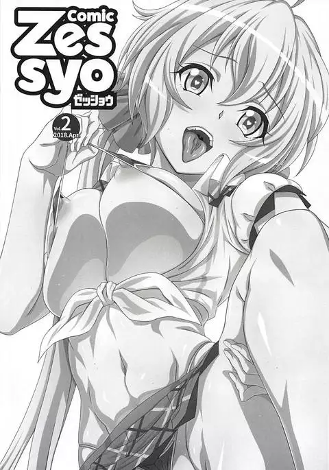 Comic Zessyou vol.2