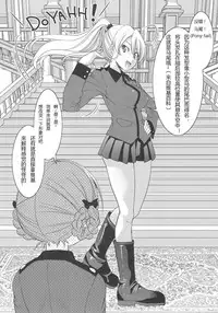 (SC2017 Autumn) [Ponyfarm (Inoue Yoshihisa)] Darjeeling-sama no Ponytail (Girls und Panzer) [Chinese] [79G个人汉化]