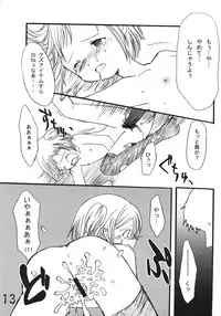 Tsurupeta Kenkyuusho Houkokusho