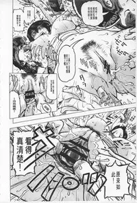 [keso] Hikoushiki Heroine Zukan | 非公式女性角色圖姦 [Chinese]