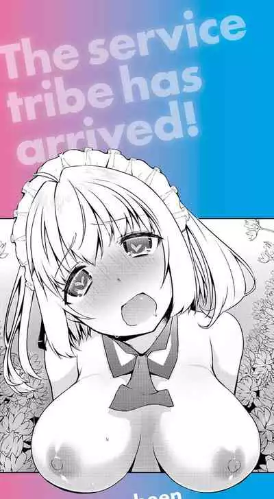 Houshi Shuzoku ga Yattekita!