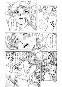 (CR33) [Oretachi Misnon Ikka (Misnon the Great)] Tsuihou Kakugo Special Edition-Phase2- (Seikai no Monshou, Gakuen Senki Muryou)