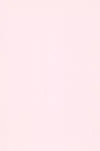 (C50) [P.A. Project (Teruki Kuma)] Teddy Bear no Omise Vol. 1 (Various)