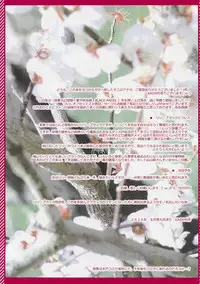 [Luft Forst (KAZAMI Rei)] Moe Touhou Gensoukyou - Touhou Shuukokusei BLACK ANGEL. (Touhou Project)