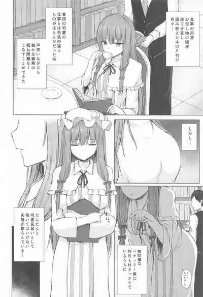 (Meikasai 14) [Tekomenchi (Techi)] Patchouli Knowledge Kaihatsu Kiroku (Touhou Project)