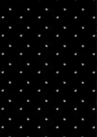 (C94) [Giuniuya (Giuniu)] 2COMANA AHO-CHAN [English] [Shephipster]