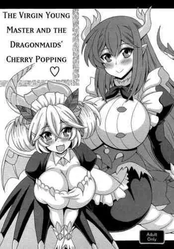 Dotei botchan to doragon meido no fudeoroshi