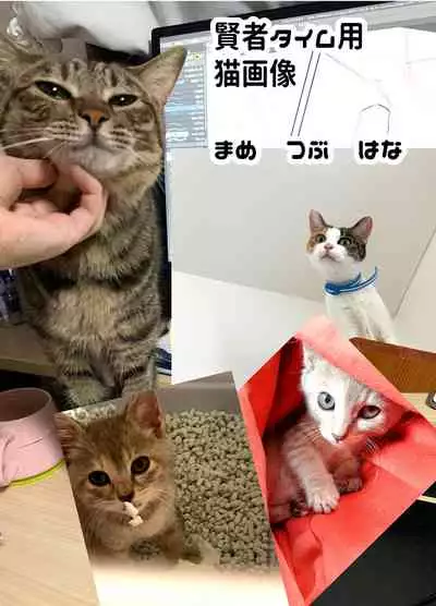 Papa wa Musume ga Daisuki