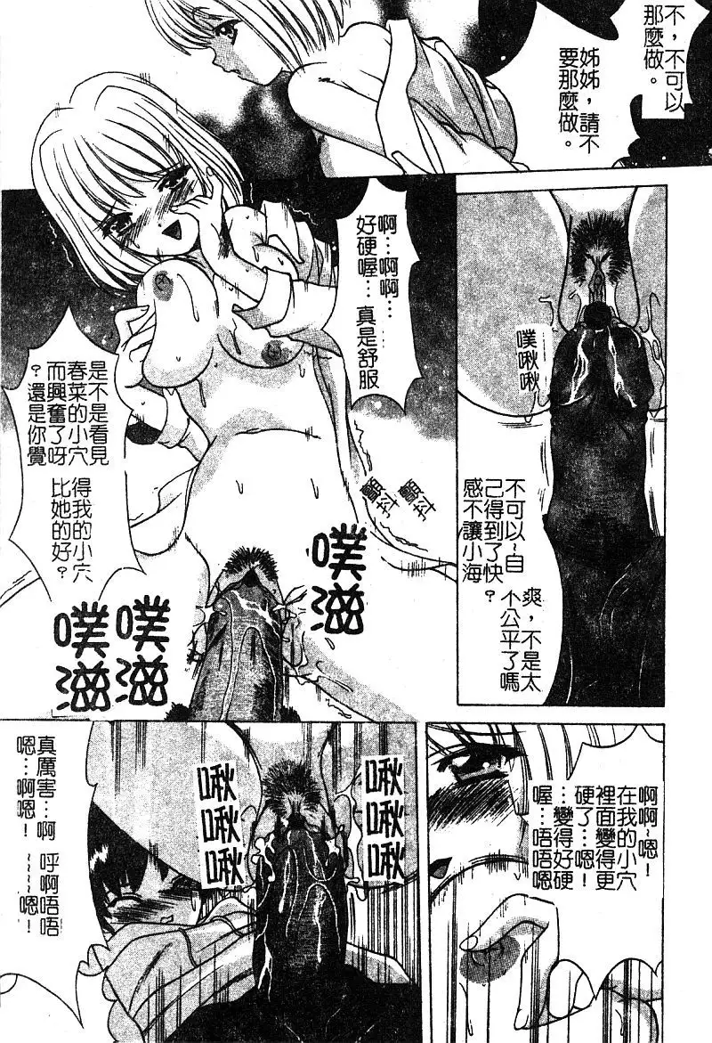 Petit Lover （chinese）