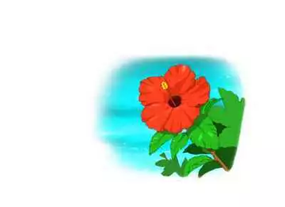 [pink-noise (Mizuiro Megane)] Mama Shot-ime - Tropical Hen [Chinese] [穿刺个人汉化]