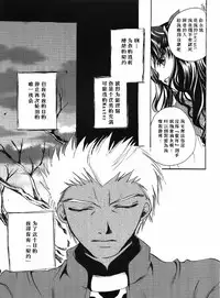 (Mimiket 10) [RED DATA BOOK (Amano Ryuuki)] Albireo (Fate stay night) [Chinese]