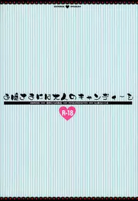 (Shitsuji Toranoana! 4) [PINK (Araiguma)] Ojou-sama ni wa Otona no Candy wo (Hayate no Gotoku!)