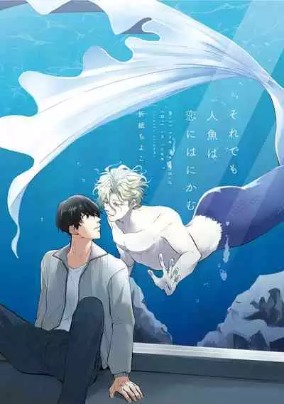 即便如此人鱼仍然羞于爱恋