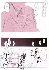 (C66) [Yaesaka (Yaesaka Satoru)] This Illusion (Fate/stay night)