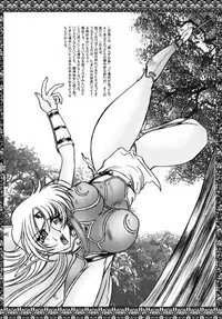 (C68) [GLAMOUR WORKS (Shadi Biin)] Monster Collection (Record of Lodoss War)