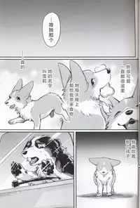 (Kansai! Kemoket 7) [Kaiten ParaDOGs (Diga Tsukune)] Usotsuki Tachi no " " | 讹言者们的“ ” [Chinese] [兔屋汉化组]