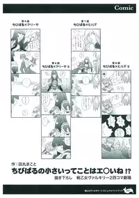 Ikusa Otome Valkyrie 2 Visual Fanbook