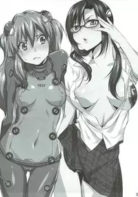 (C76) [Ash wing (Makuro)] Dai-27-ji Chuukan Houkokusho (Neon Genesis Evangelion)