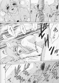 (C66) [GUST (Harukaze Soyogu)] Sternness 3 (Mobile Suit Gundam SEED)