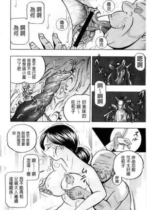 Reijou Maiko ~Kyuuke no Hien~