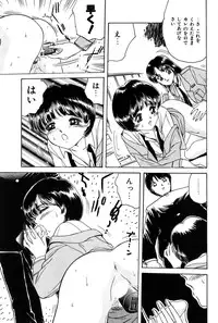 [Fujita Jun] Taste Of Honey