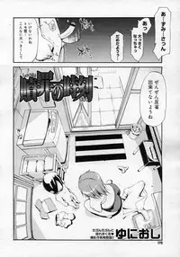 COMIC Megastore H 2007-01