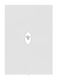 (C76) [Kazemichiya (Mamo Williams)] Flash Back (Touhou Project) [English]