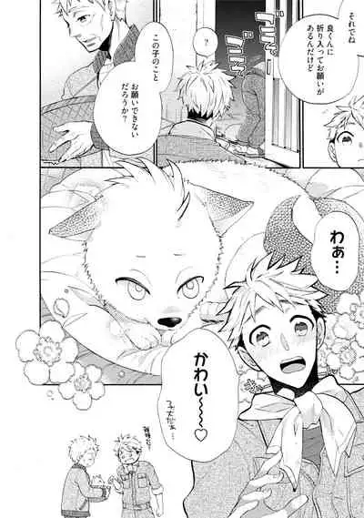 Wolves and Erotic Things