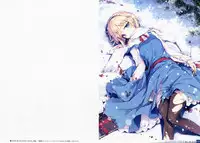 (Shuuki Reitaisai) [Gekidoku Shoujo (ke-ta)] -Ruby- (Touhou Project)